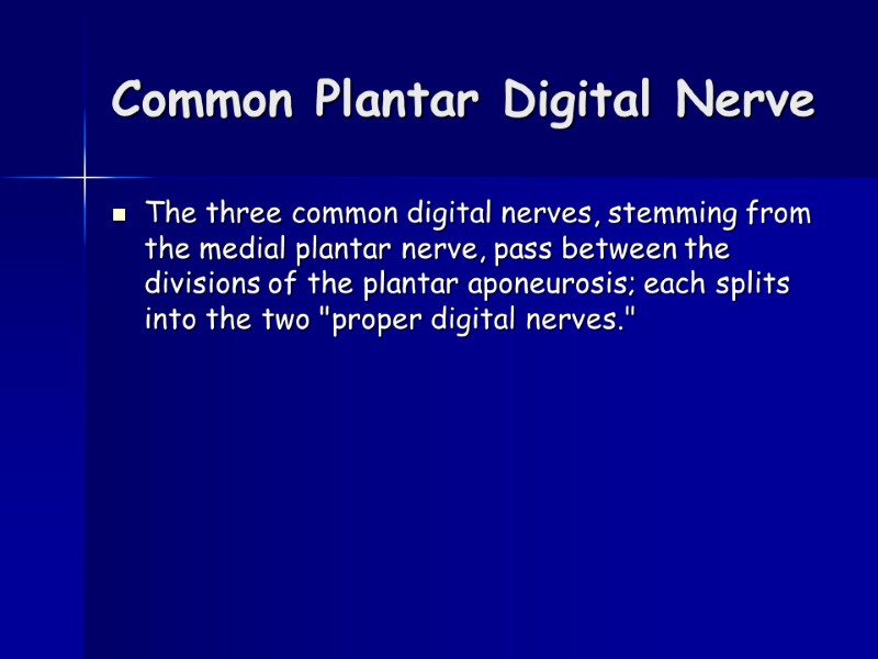 Common Plantar Digital Nerve The three common digital nerves, stemming from the medial plantar